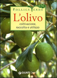 L'olivo. Coltivazione, raccolta e utilizzo