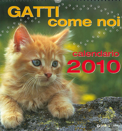 Gatti come noi. Calendario 2010