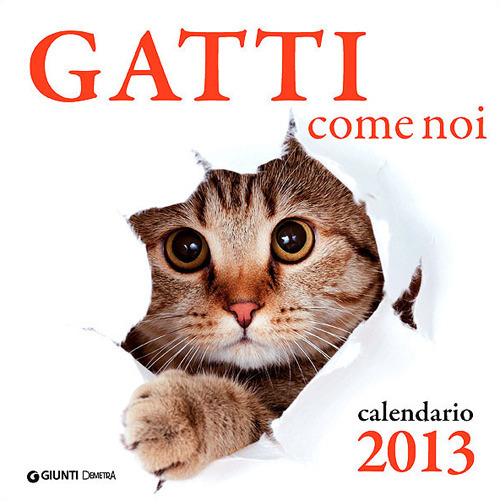 Gatti come noi. Calendario 2013