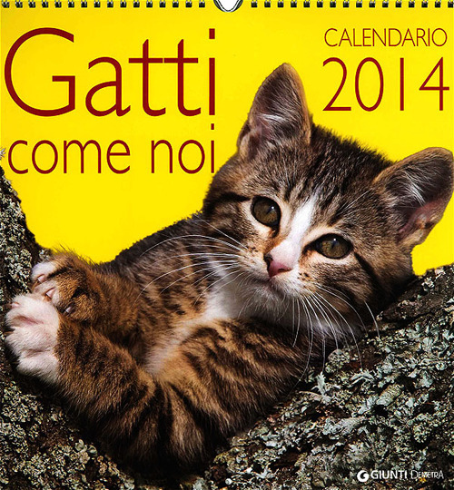 Gatti come noi. Calendario 2014