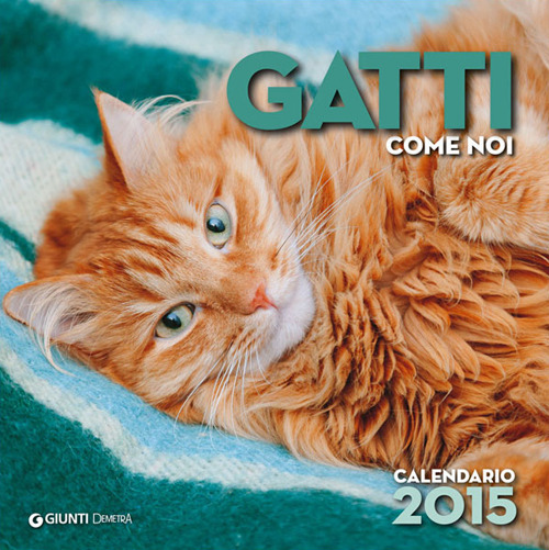 Gatti come noi. Calendario 2015