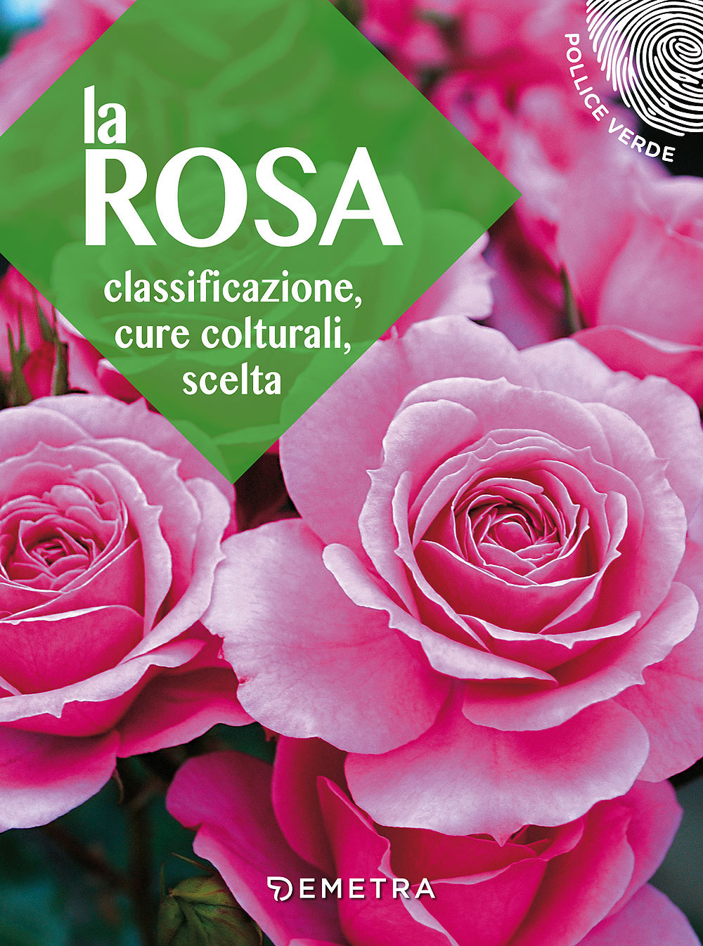 La rosa. Classificazione, cure colturali, scelta