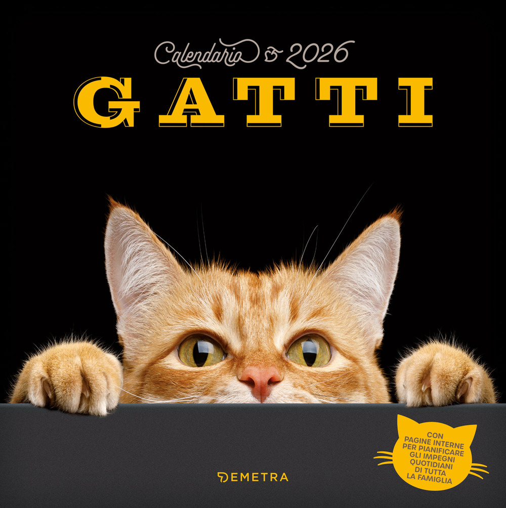 Gatti. Calendario 2026 da parete