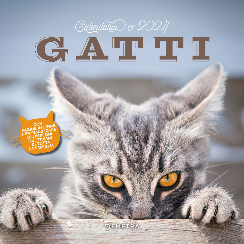 Calendario gatti 2024 da parete (30 x 30 cm)