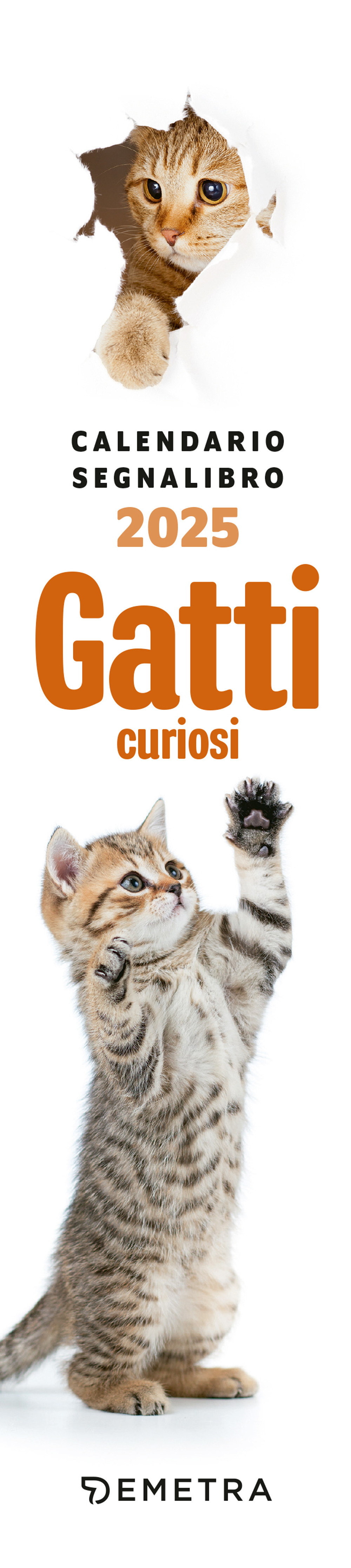 Gatti curiosi. Calendario segnalibro 2025 (5,5 x 24,5 cm)