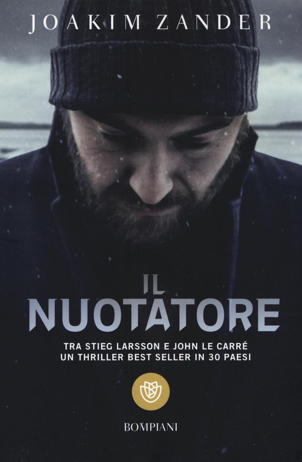 Il nuotatore