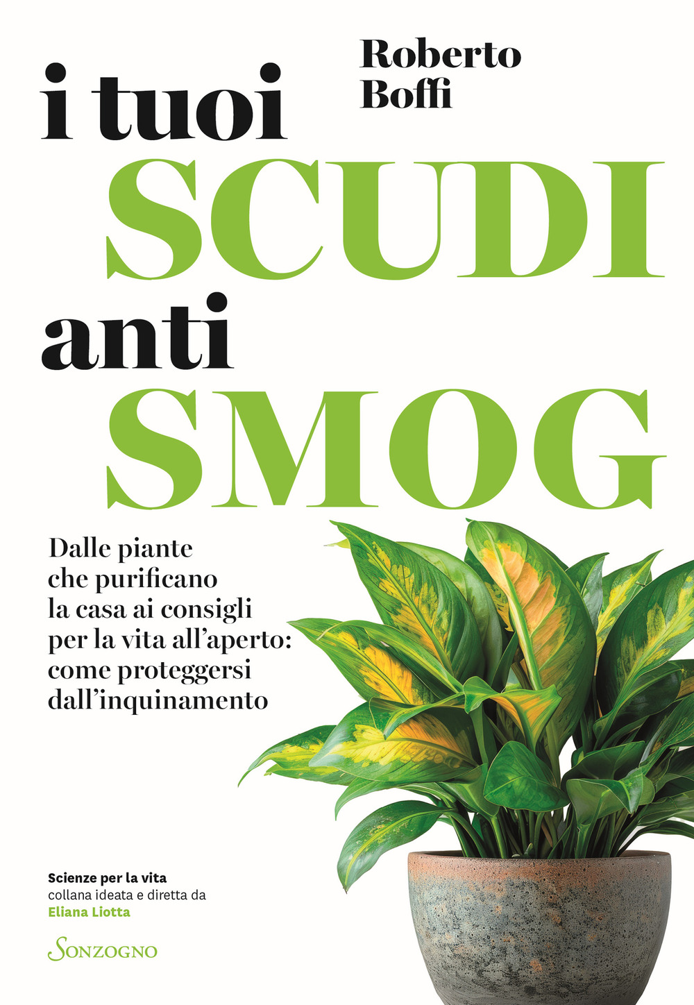 I tuoi scudi antismog. Dalle piante che purificano la casa ai consigli per la vita all’aperto: come proteggersi dall’inquinamento