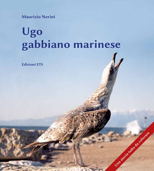 Ugo gabbiano marinese