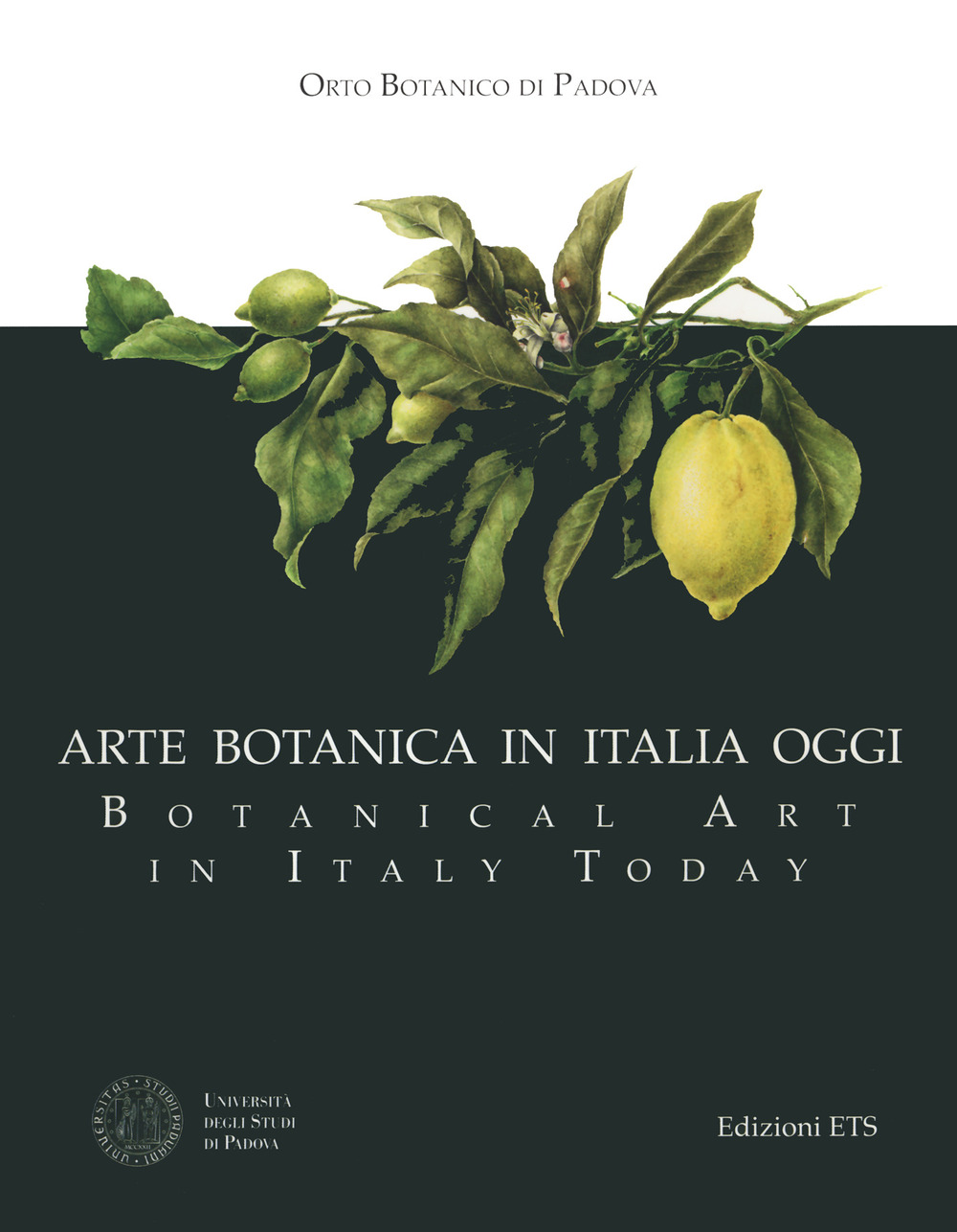 Arte botanica in Italia oggi-Botanical Art in Italy Today