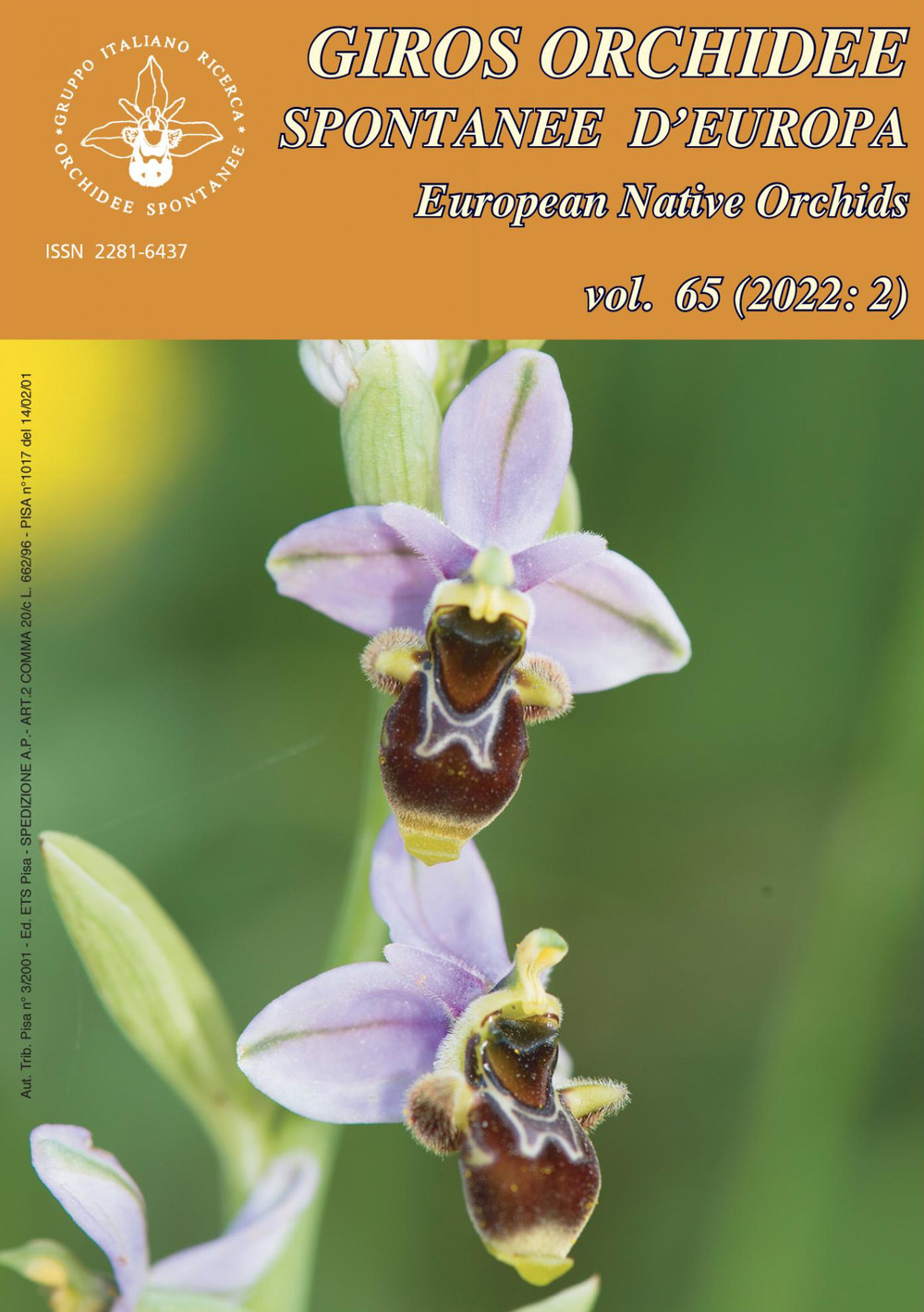 Giros. Orchidee spontanee d'Europa-European native orchids. Vol. 2