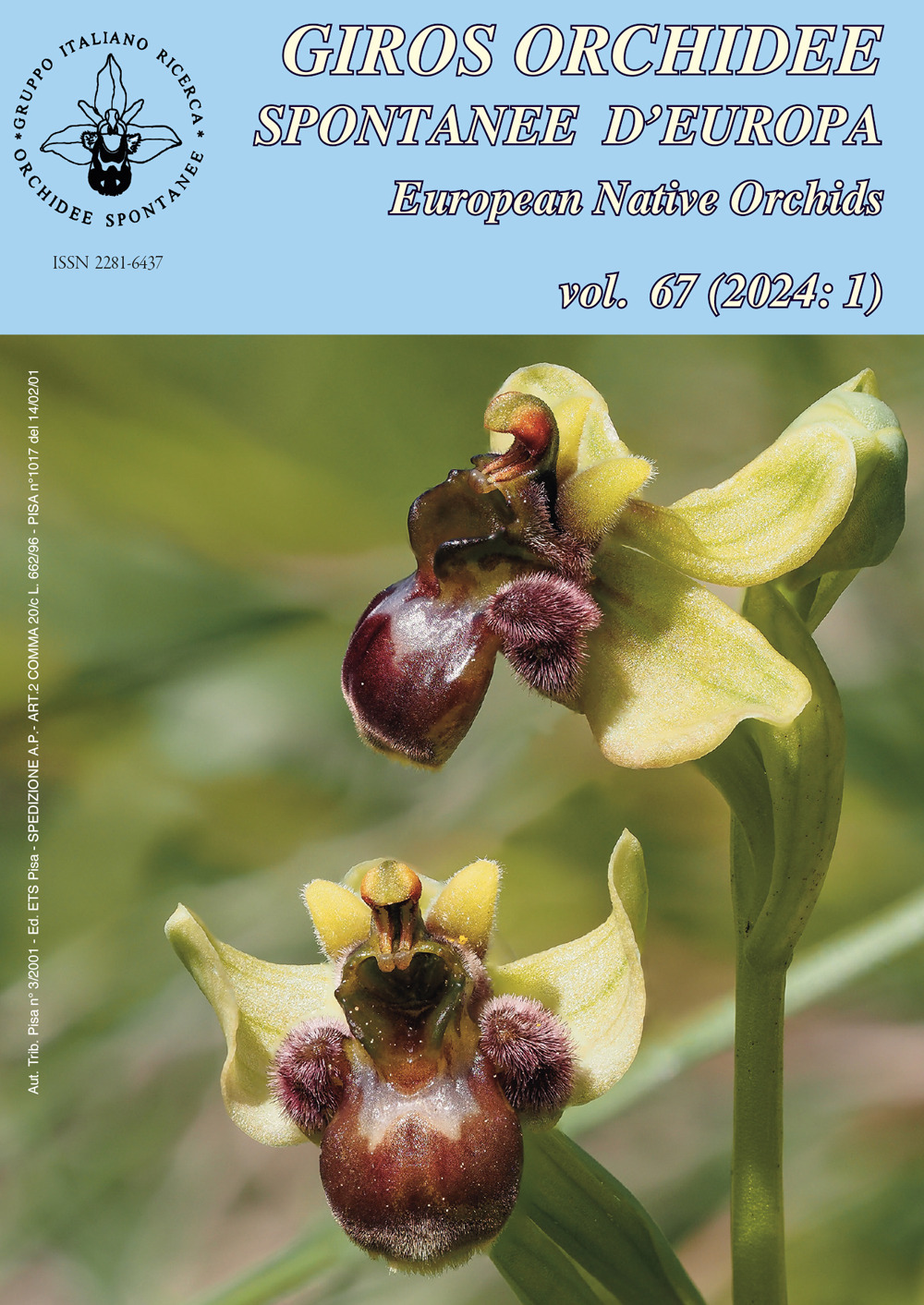 Giros. Orchidee spontanee d'Europa. Vol. 1