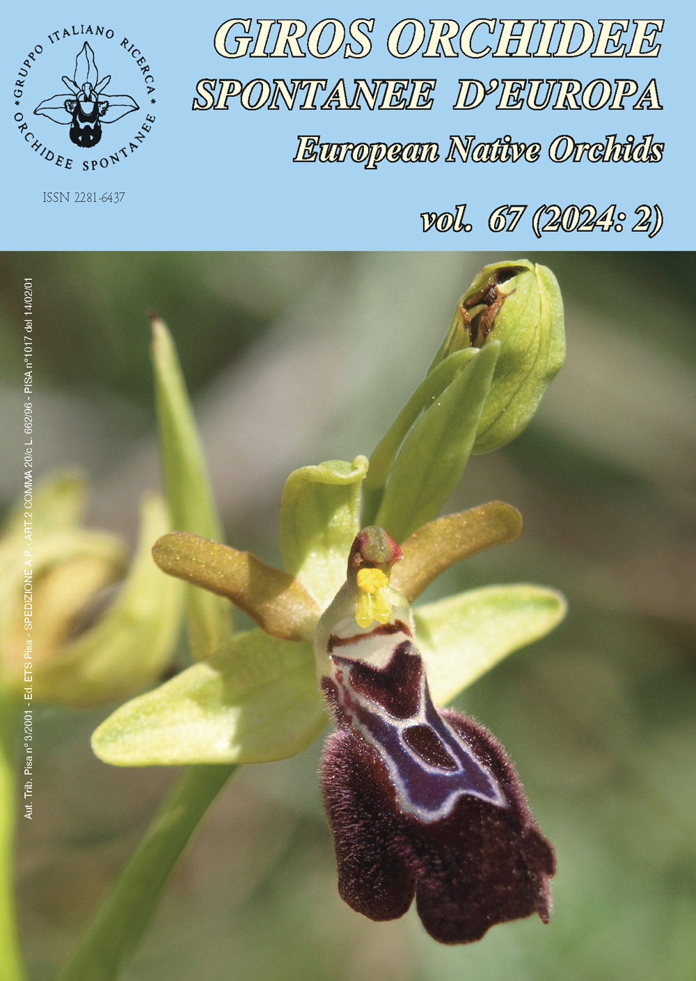 Giros. Orchidee spontanee d'Europa. Vol. 2