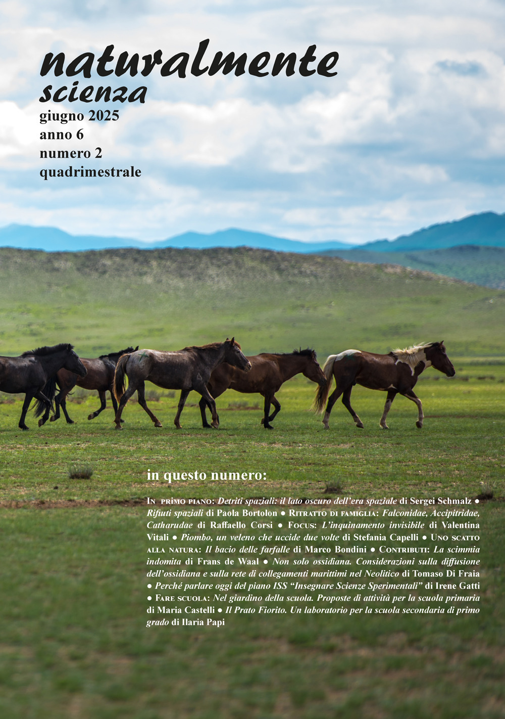 Naturalmente scienza. Vol. 2