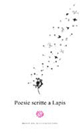 Poesie scritte a lapis