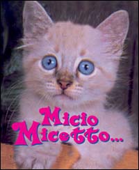 Micio micetto...