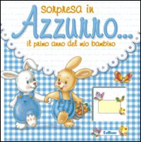 Sorpresa in azzurro... Il primo anno del mio bambino