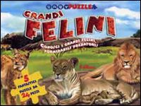 Grandi felini