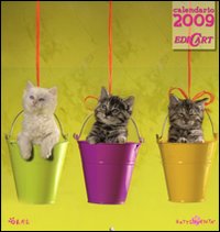 I gatti. Calendario 2009