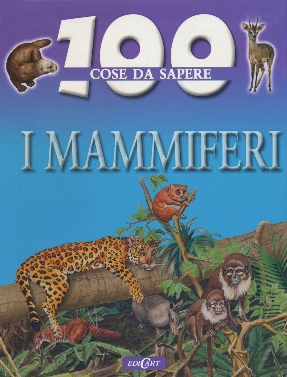 I Mammiferi