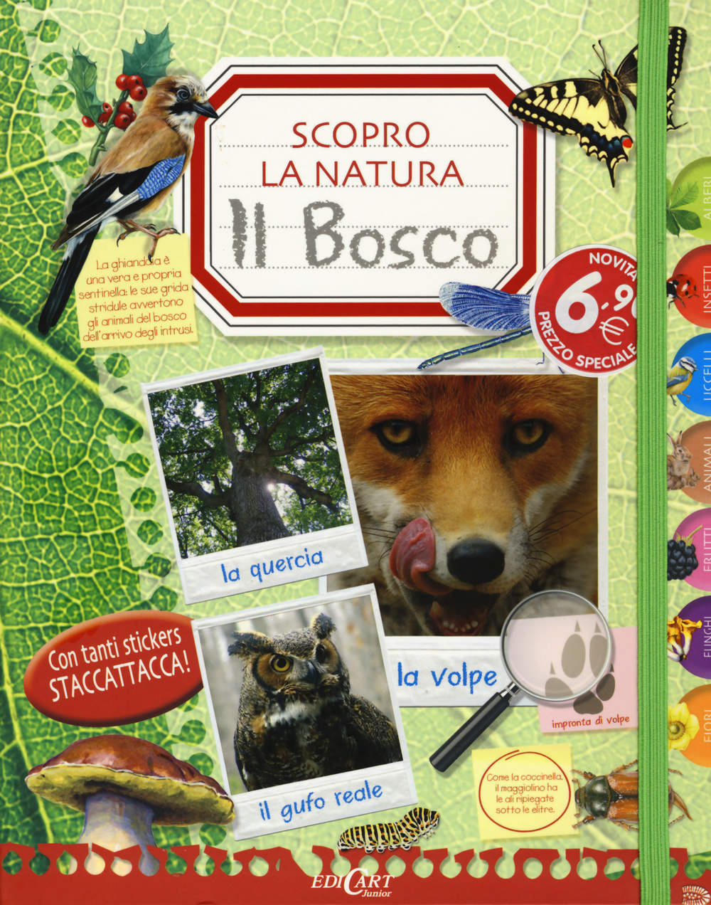 Il bosco. Scopro la natura. Con adesivi