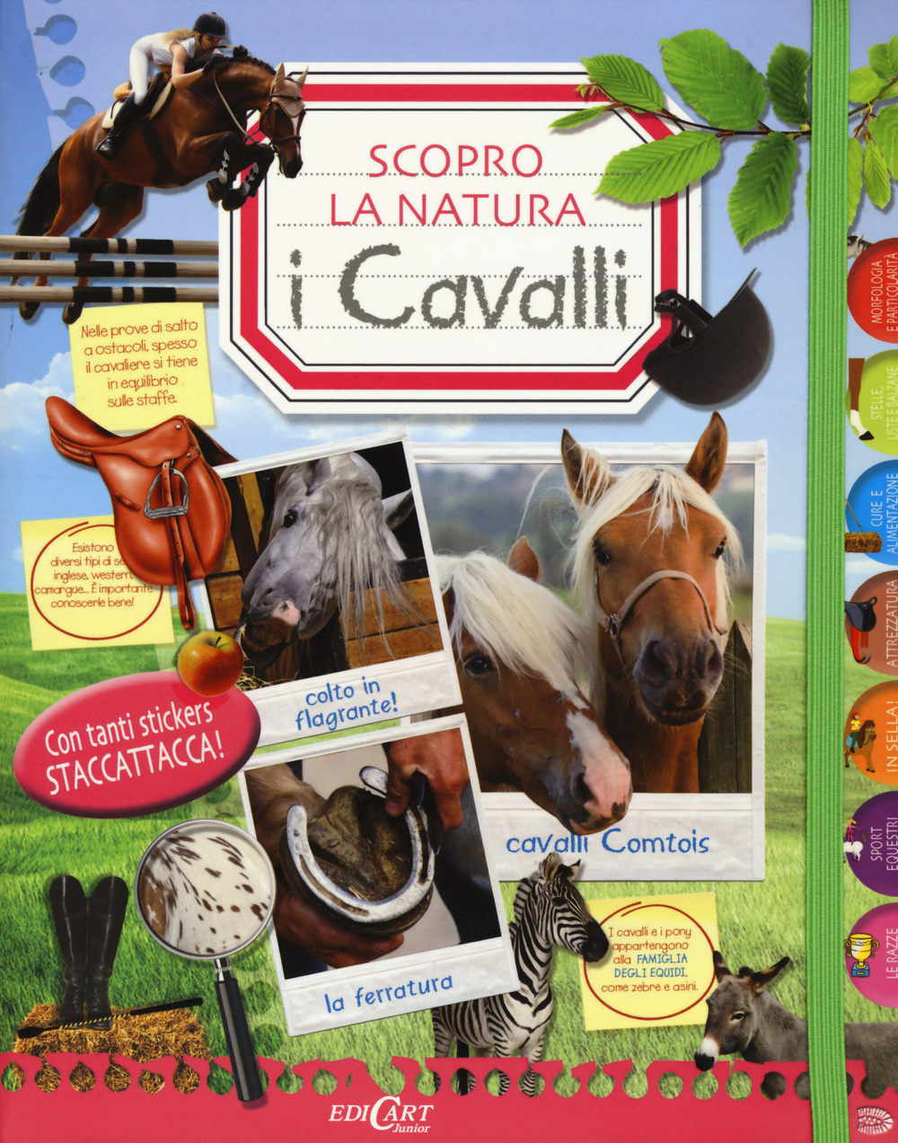 I cavalli. Scopro la natura. Con adesivi