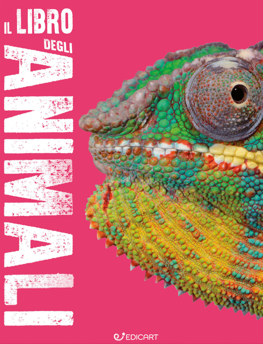 Il libro degli animali. Scoprimondo