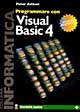 Programmare con Visual Basic 4