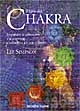 Il libro dei chakra