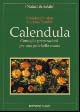 Calendula. Consigli e preparazioni per una pelle bella e sana