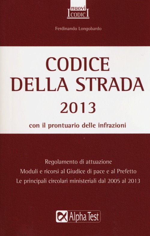 Codice della strada 2013
