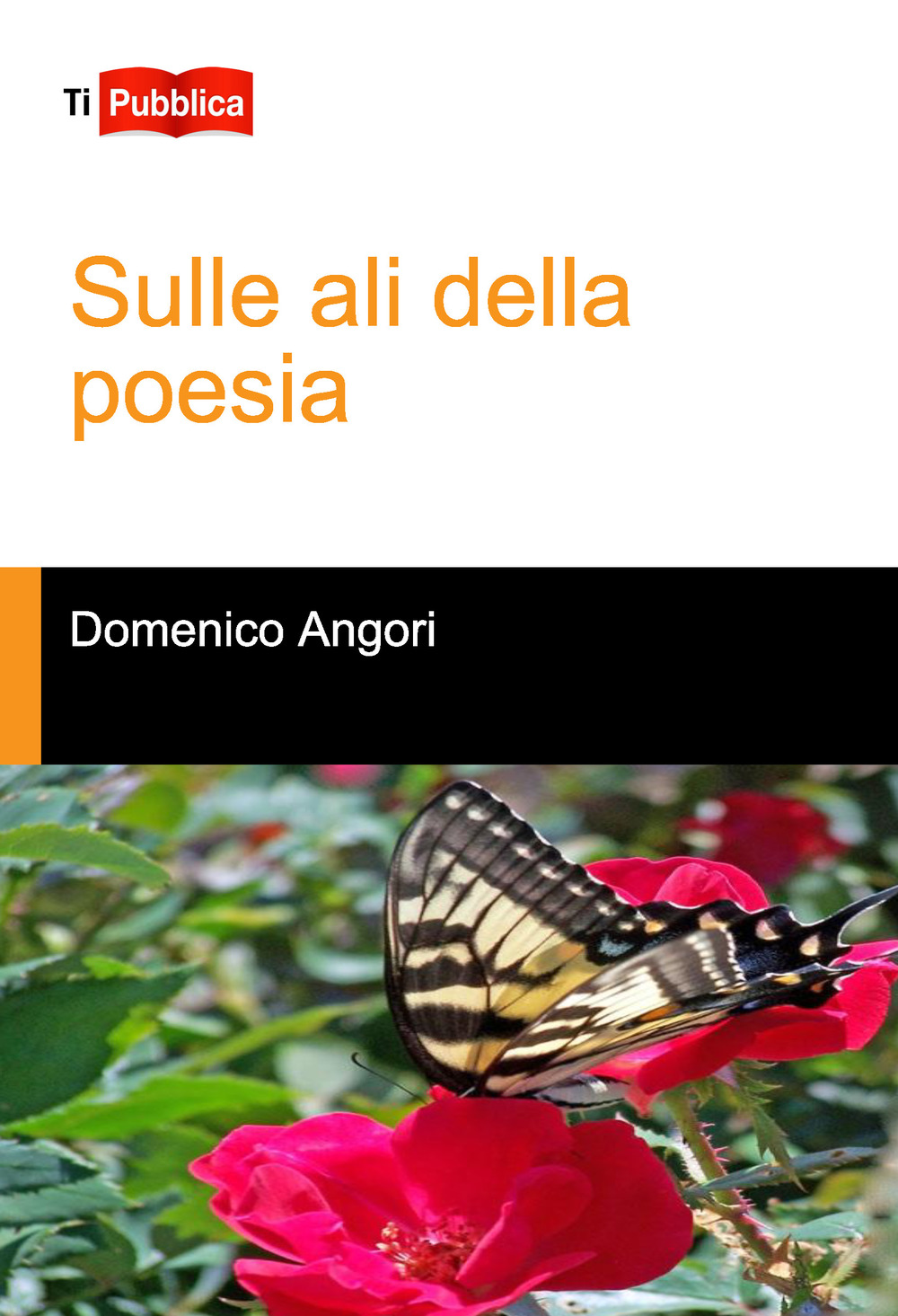 Sulle ali della poesia