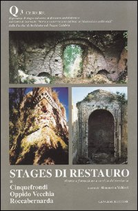Stages di restauro. Cinquefrondi, Oppido Vecchia, Roccabernarda. Ricerca e formazione a servizio del territorio. Quaderno. Vol. 3