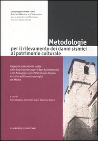 Metodologie per il rilevamento dei danni sismici al patrimonio culturale