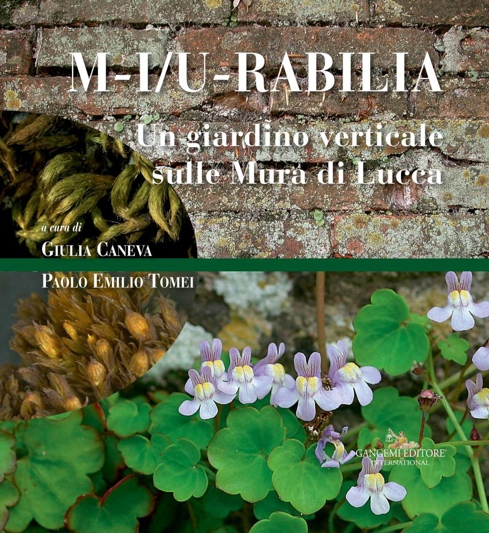 M-i/u-rabilia. Un giardino verticale sulle mura di Lucca