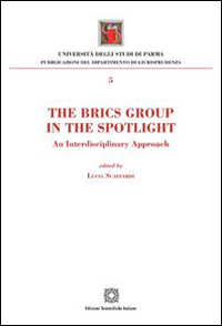 The Brics Group in the sportlight. An interdisciplinary approach