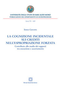 La cognizione incidentale sui crediti nell'espropriazione forzata. Contributo allo studio dei rapporti tra esecuzione e accertamento