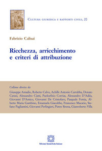 Ricchezza, arricchimento e criteri di attribuzione