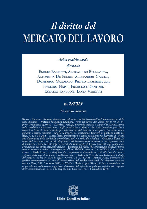 Il diritto del mercato del lavoro. Vol. 2