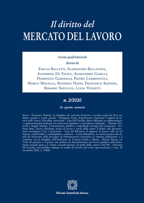 Il diritto del mercato del lavoro. Vol. 2