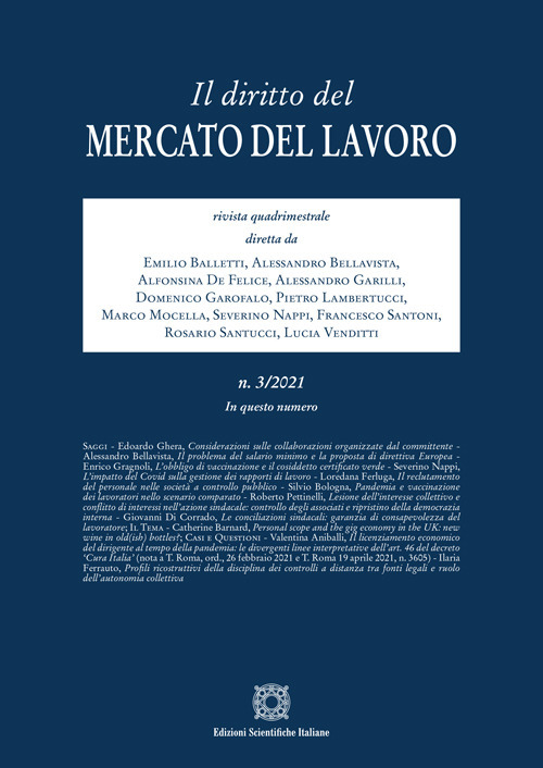 Il diritto del mercato del lavoro. Vol. 3
