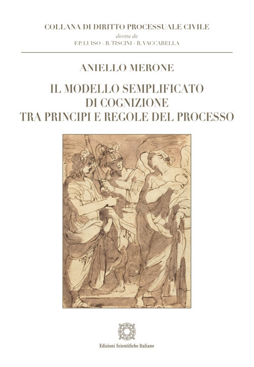 Il modello semplificato di cognizione tra principi e regole del processo