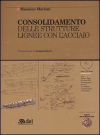 Consolidamento delle strutture lignee con l'acciaio