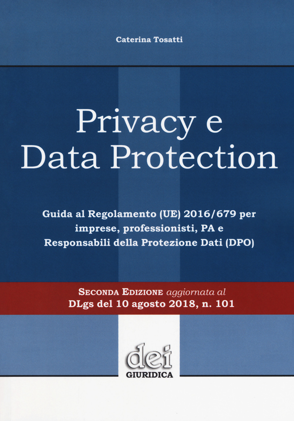 Privacy e data protection. Guida al Regolamento (UE) 2016/679 per imprese, professionisti, PA e Responsabili della protezione dati (DPO)