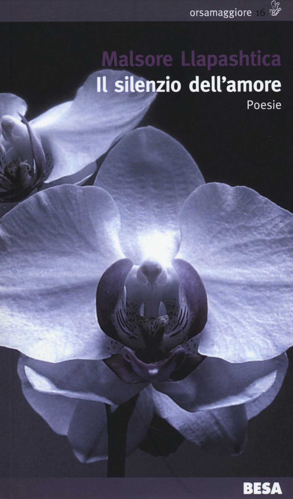 Il silenzio dell'amore. Testo albanese a fronte