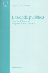 L'azienda pubblica. Gestione, rivelazione, programmazione, controllo