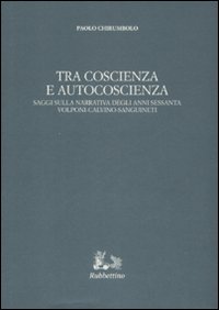 Tra coscienza e autocoscienza. Saggi sulla narrativa degli anni sessanta. Volponi, Calvino, Sanguineti
