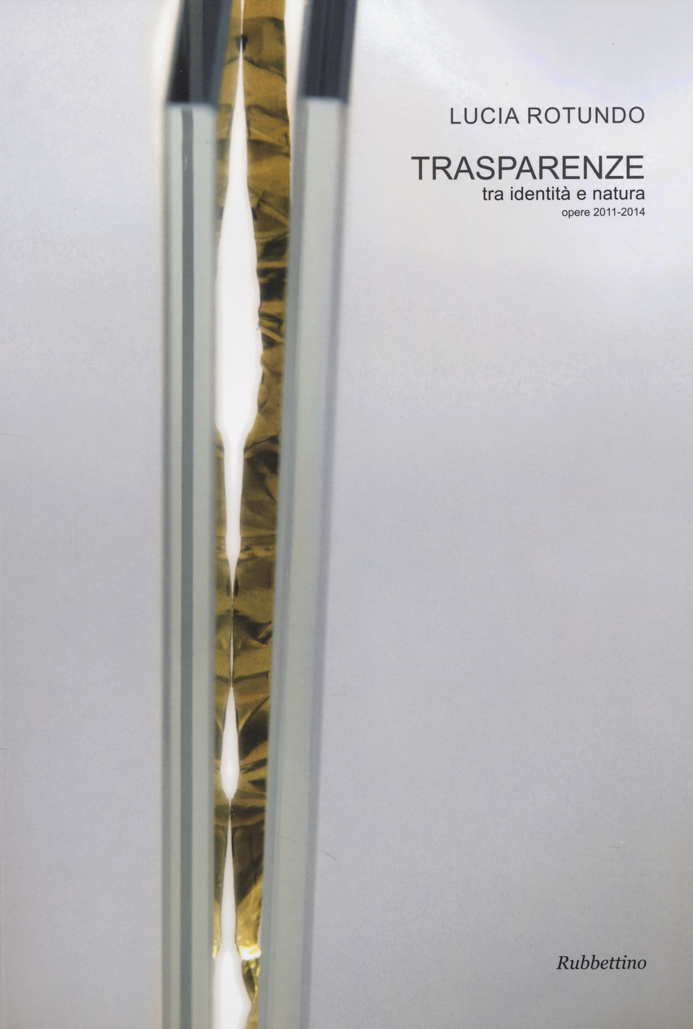 Trasparenze. Tra identità e natura. Opere 2011-2014