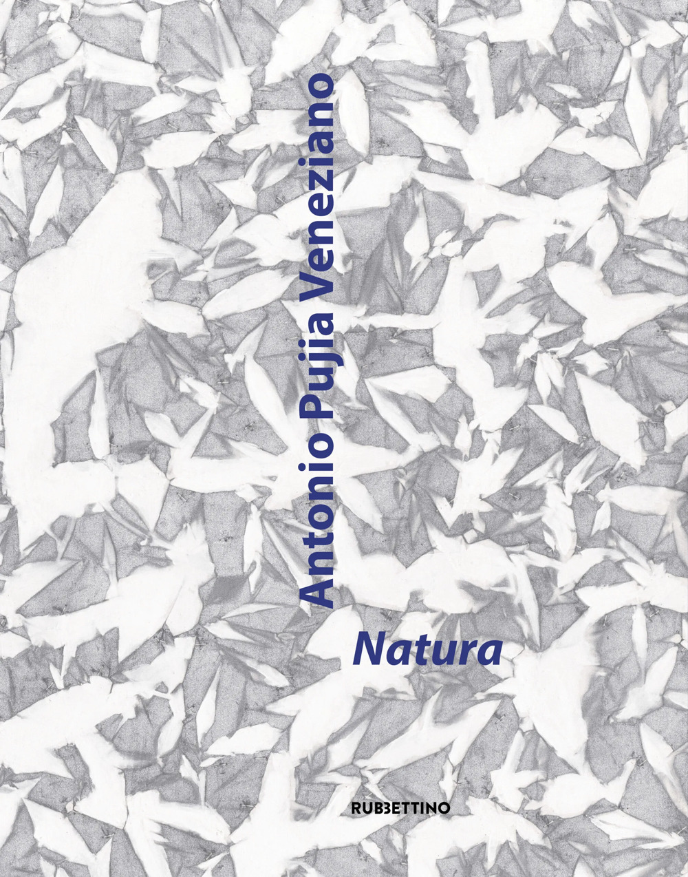 Natura. Catalogo della mostra (Cosenza, 5 maggio-2 giugno 2024)