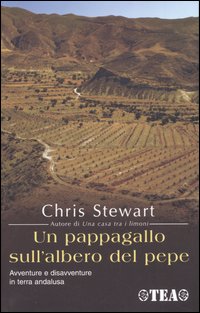 Un pappagallo sull'albero del pepe