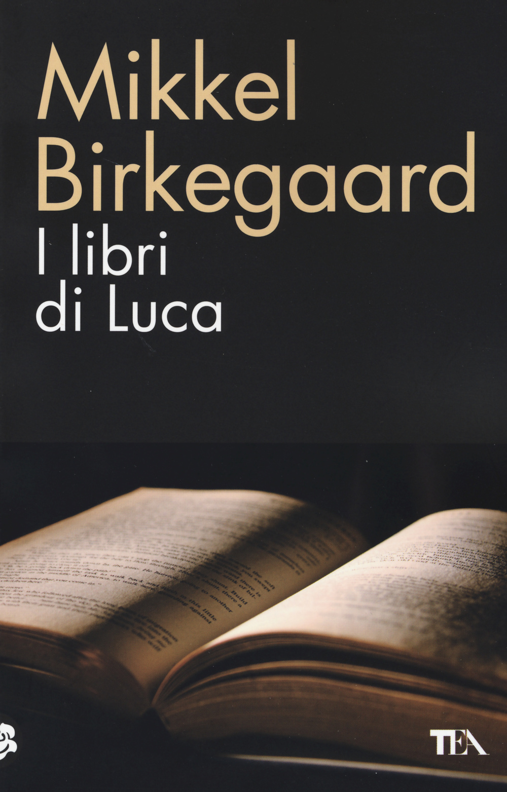 I libri di Luca